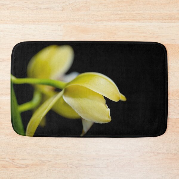Item preview, Yellow cymbidium orchid on black background macro designed and sold by TanalyFlowers.