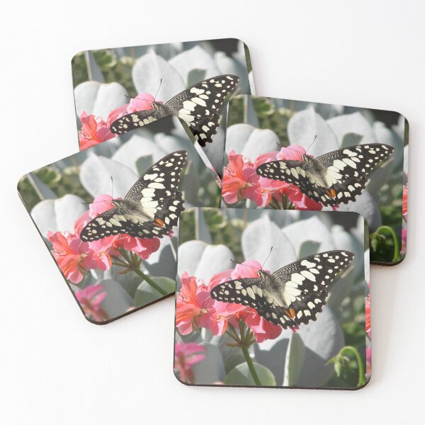Item preview, Beautiful Black and White Butterfly - Chequered Swallowtail designed and sold by Sarah  Rajkotwala.