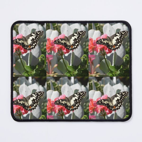 Item preview, Beautiful Black and White Butterfly - Chequered Swallowtail designed and sold by Sarah  Rajkotwala.