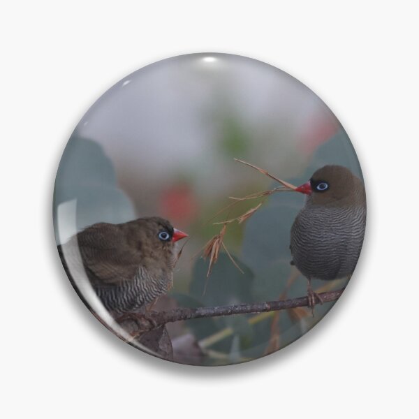 Item preview, Firetail Finches perched amongst branches native gum tree designed and sold by Melville.Collective.
