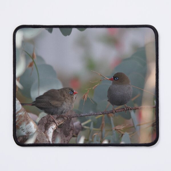 Item preview, Firetail Finches perched amongst branches native gum tree designed and sold by Melville.Collective.