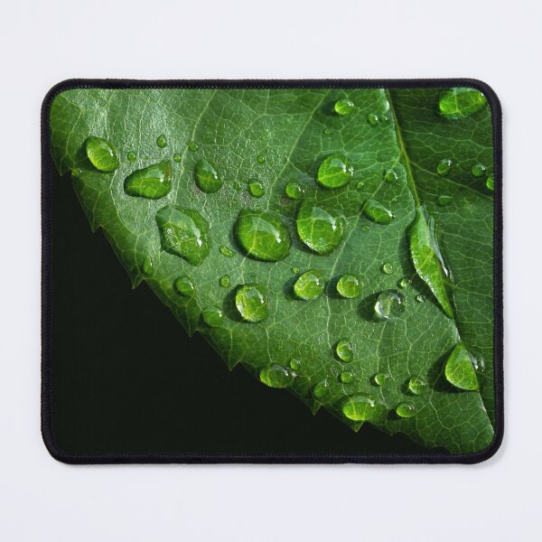 Item preview,  Green leaf with water drops macro macro designed and sold by TanalyFlowers.
