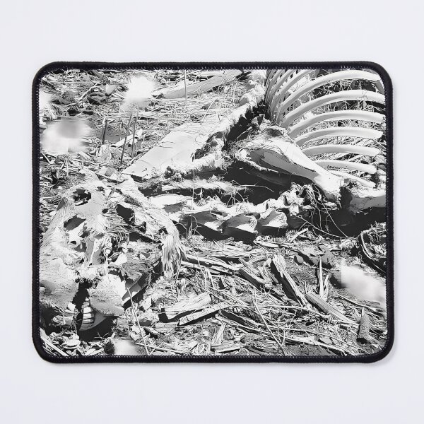 Item preview, Horse Skeleton Nebraska | Skull Art designed and sold by GammaRay.