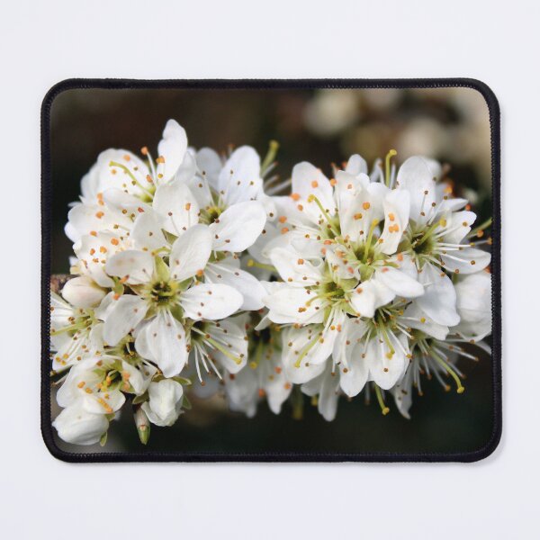 Item preview, blossom designed and sold by KathleenDawson.