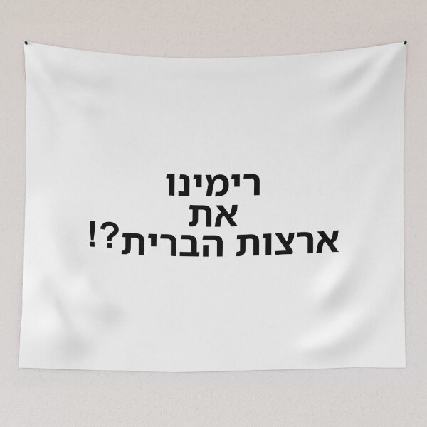 Item preview, Did We Fool the United States?! - print designed and sold by ariksworld.