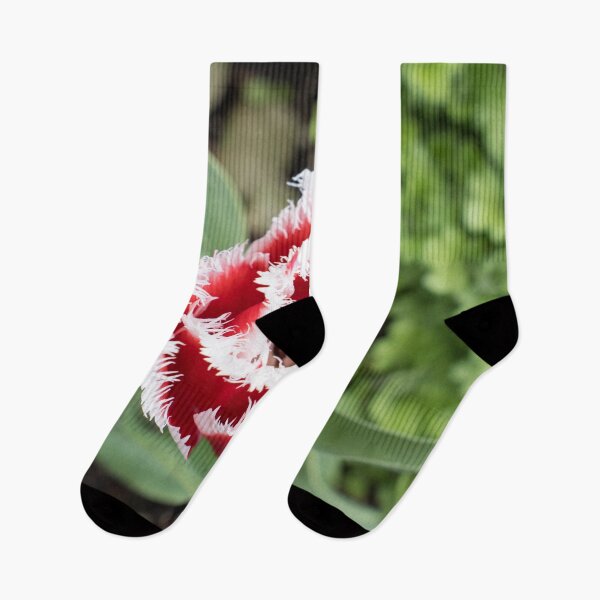 Item preview, Carmine Red Tulip with Unusual Fringed Petals designed and sold by Georgia Mizuleva.