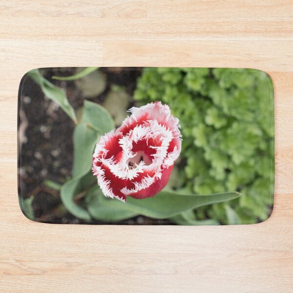 Item preview, Carmine Red Tulip with Unusual Fringed Petals designed and sold by Georgia Mizuleva.
