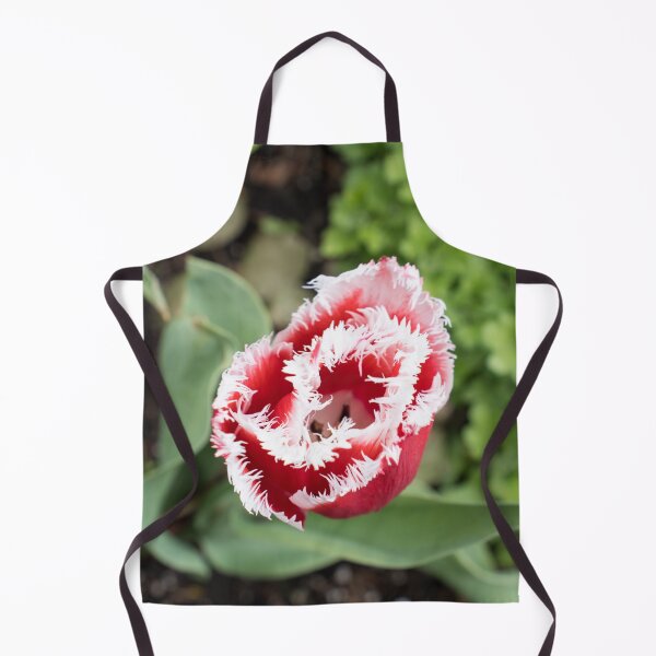 Item preview, Carmine Red Tulip with Unusual Fringed Petals designed and sold by Georgia Mizuleva.