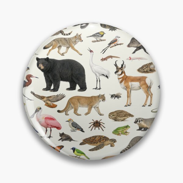 Item preview, Animals of Texas Retro Style Identification Chart designed and sold by kakarikihill.