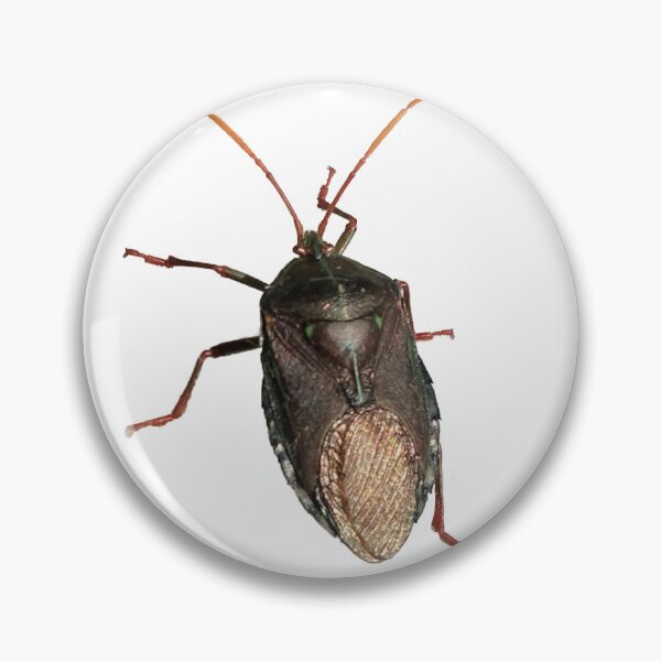 Item preview, Bronze Orange Bug designed and sold by Kookie0702.