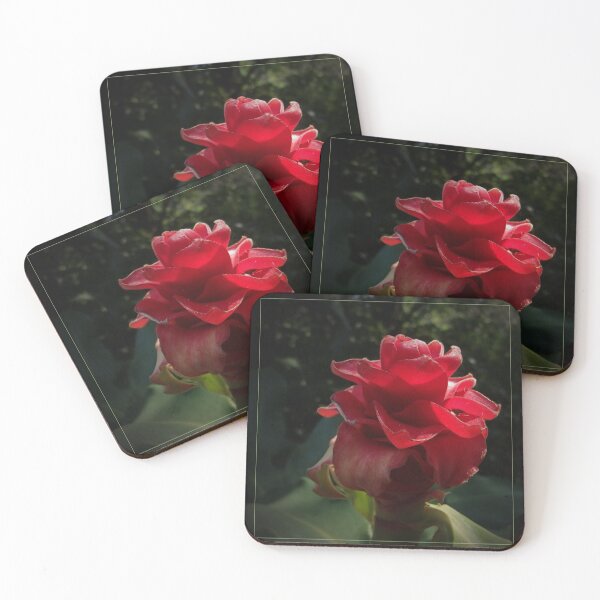 Item preview, Flor australiana designed and sold by Alexey Dubrovin.