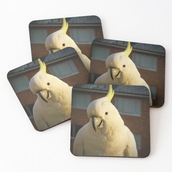 Item preview, Cockatoo portrait designed and sold by Alexey Dubrovin.