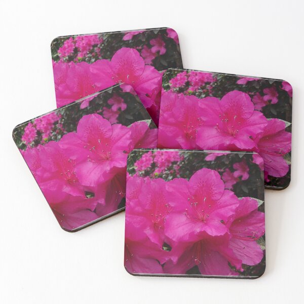 Item preview, Azalea flower designed and sold by Alexey Dubrovin.