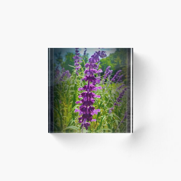 Item preview, Lavander designed and sold by Alexey Dubrovin.