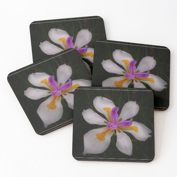 Item preview, Fairy Iris flower designed and sold by Alexey Dubrovin.