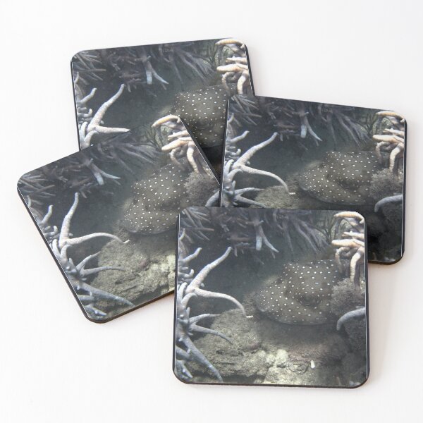 Item preview, Hidden fish designed and sold by Alexey Dubrovin.