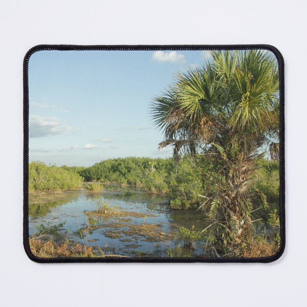 Item preview, An Everglade Oasis designed and sold by MatthewThomasDaniels.