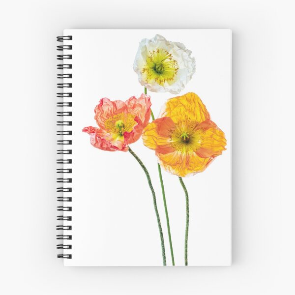 Item preview, A troupe of extroverted poppies designed and sold by alan shapiro.