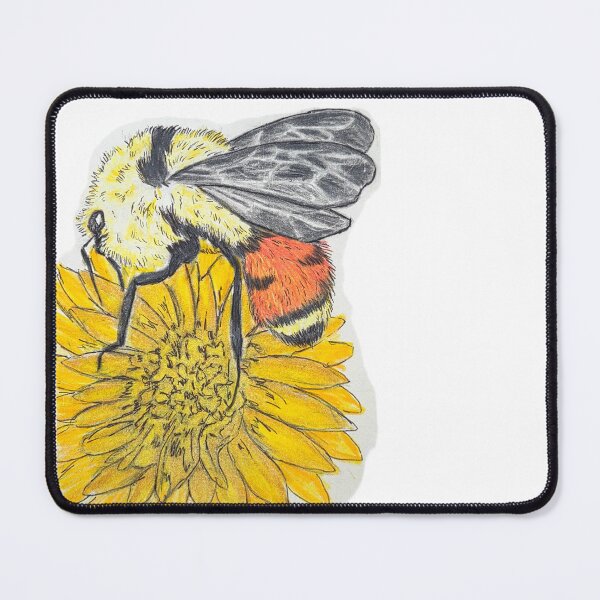 Item preview, Tricolored Bumble Bee Hand Drawn designed and sold by HouseplantsAndScamps.