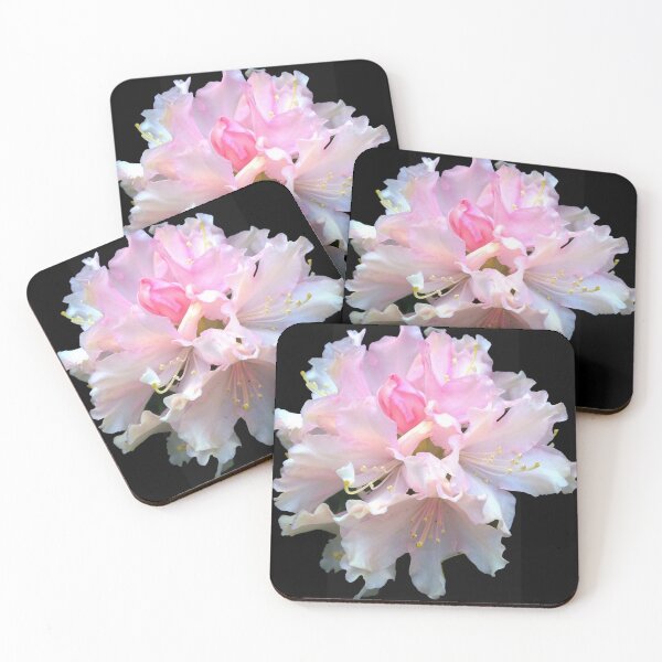 Item preview, Rhododendron designed and sold by Robert Elfferich.