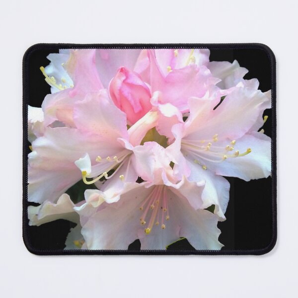 Item preview, Rhododendron designed and sold by Robert Elfferich.