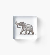 mammoth Acrylic Block