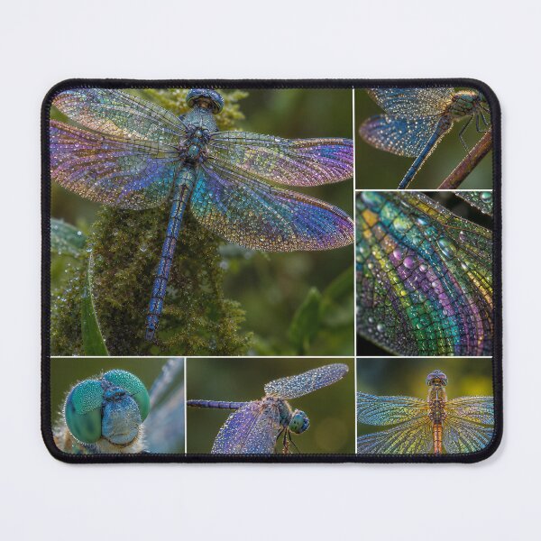 Item preview, JEWEL DRIFTS — Iridescent Dragonfly Macro Collage designed and sold by Jandedan.