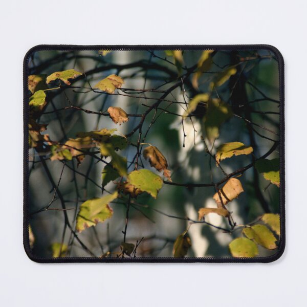 Item preview, Birch Tangle designed and sold by Wayne King.
