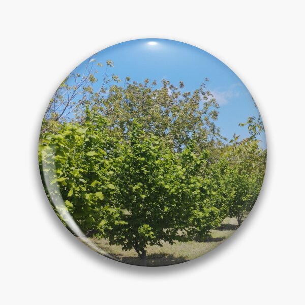 Item preview, Orchard with Hazelnut and Walnut Trees designed and sold by inspiration3.