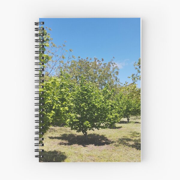 Artikelvorschau, Obstgarten mit Haselnuss- und Walnussbäumen entworfen und verkauft von inspiration3.
