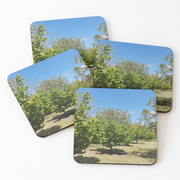 Item preview, Orchard with Hazelnut and Walnut Trees designed and sold by inspiration3.