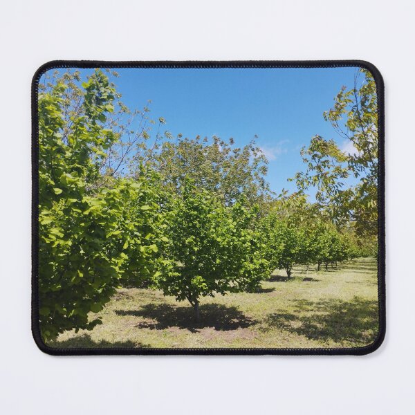 Item preview, Orchard with Hazelnut and Walnut Trees designed and sold by inspiration3.