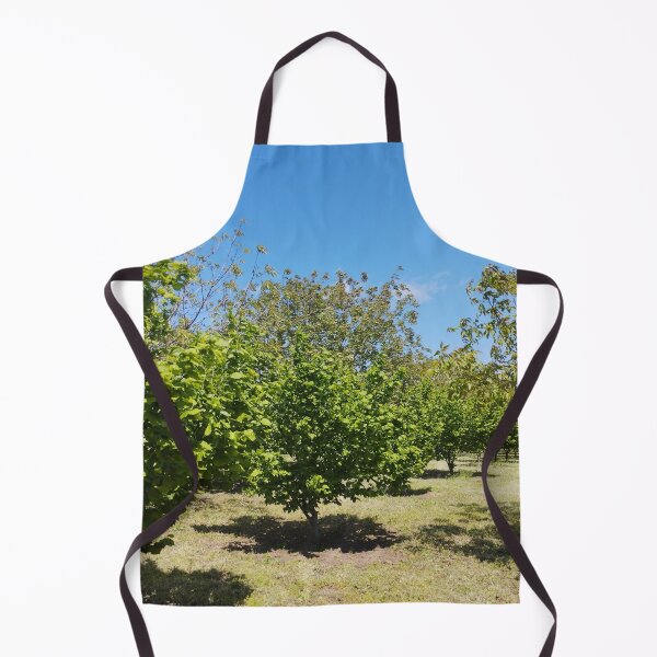 Item preview, Orchard with Hazelnut and Walnut Trees designed and sold by inspiration3.
