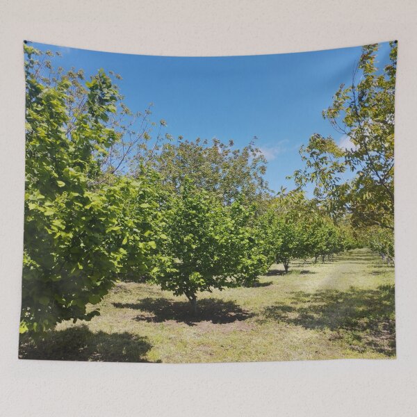 Item preview, Orchard with Hazelnut and Walnut Trees designed and sold by inspiration3.