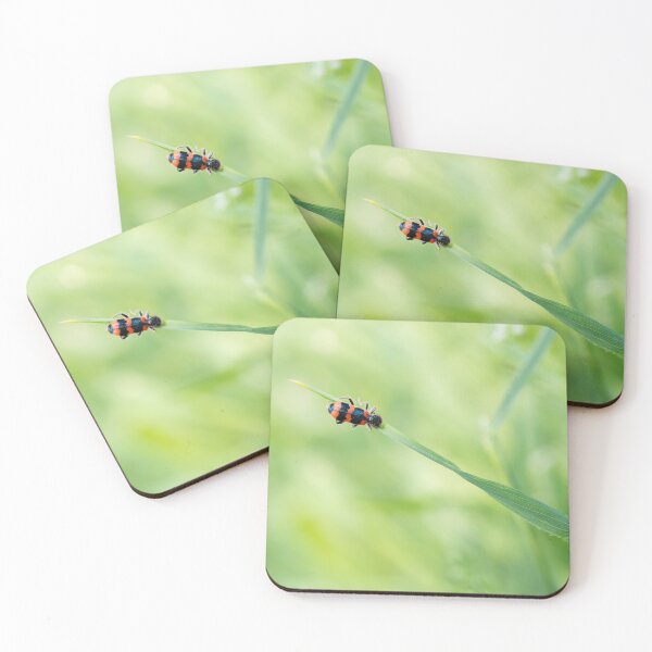 Item preview, Red beetle on green grass blade macro designed and sold by TanalyFlowers.