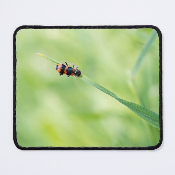 Item preview, Red beetle on green grass blade macro designed and sold by TanalyFlowers.