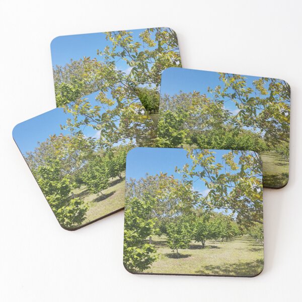 Item preview, Orchard with Hazelnut and Walnut Trees designed and sold by inspiration3.