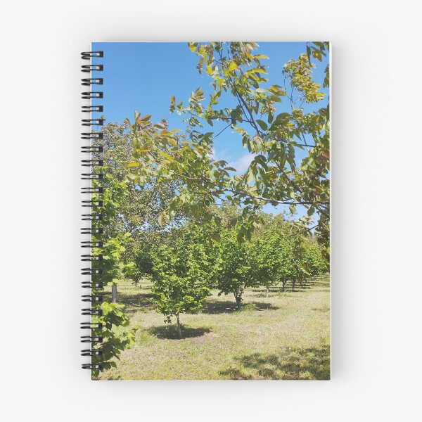Item preview, Orchard with Hazelnut and Walnut Trees designed and sold by inspiration3.