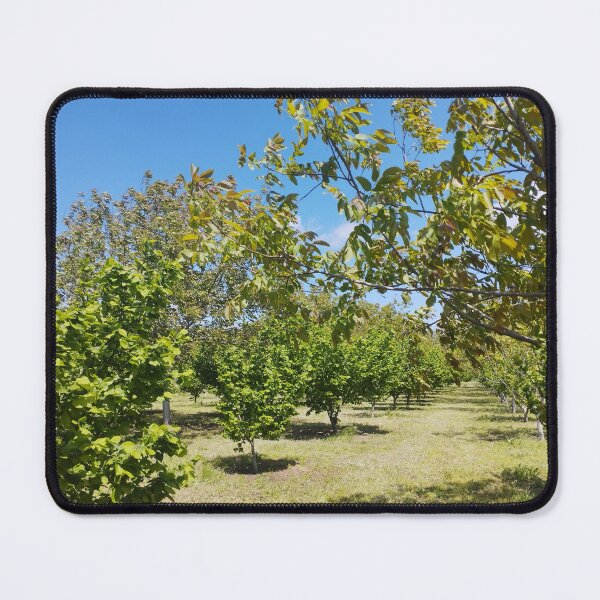Item preview, Orchard with Hazelnut and Walnut Trees designed and sold by inspiration3.