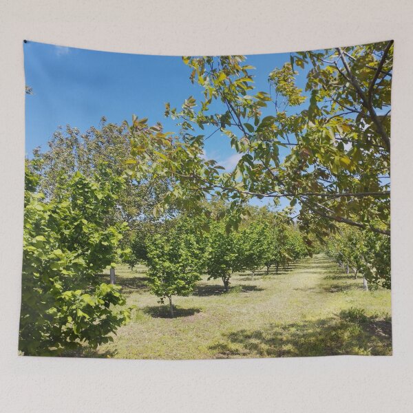 Item preview, Orchard with Hazelnut and Walnut Trees designed and sold by inspiration3.