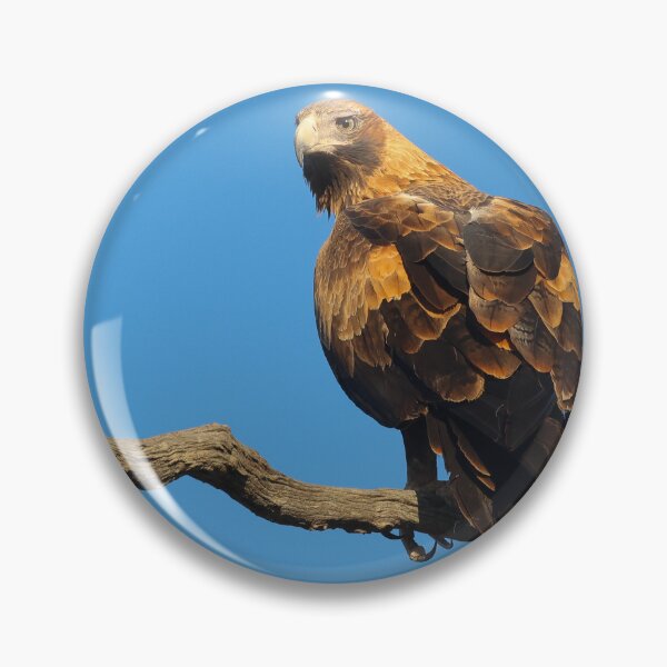 Item preview, Wedge Tailed eagle designed and sold by scar.