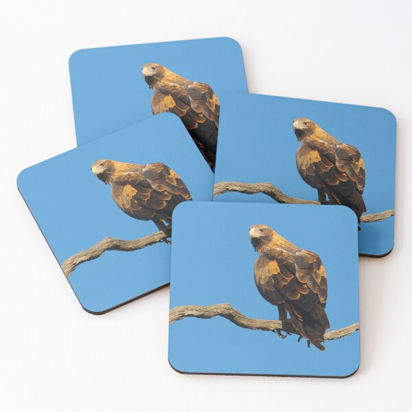 Item preview, Wedge Tailed eagle designed and sold by scar.