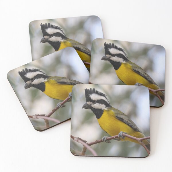 Item preview, Eastern shrike tit designed and sold by scar.