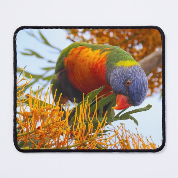 Item preview, Rainbow lorikeet designed and sold by scar.