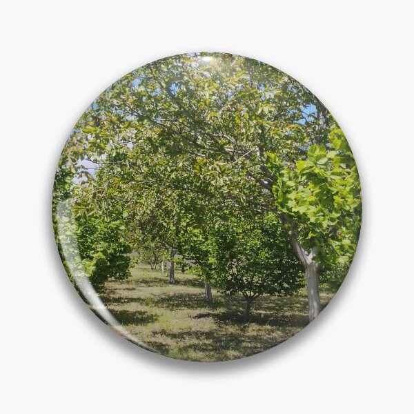 Item preview, Orchard with Hazelnut and Walnut Trees designed and sold by inspiration3.