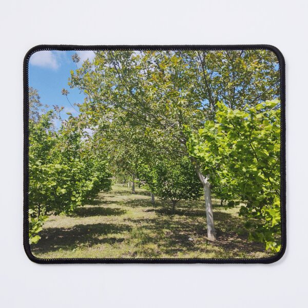 Item preview, Orchard with Hazelnut and Walnut Trees designed and sold by inspiration3.