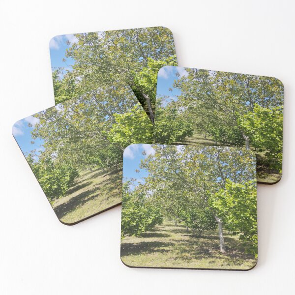 Item preview, Orchard with Hazelnut and Walnut Trees designed and sold by inspiration3.