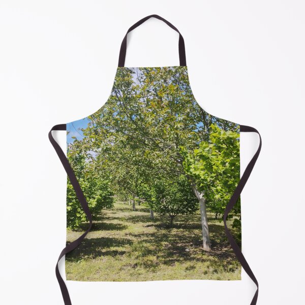 Item preview, Orchard with Hazelnut and Walnut Trees designed and sold by inspiration3.