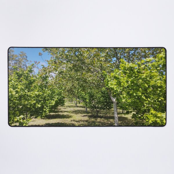 Item preview, Orchard with Hazelnut and Walnut Trees designed and sold by inspiration3.