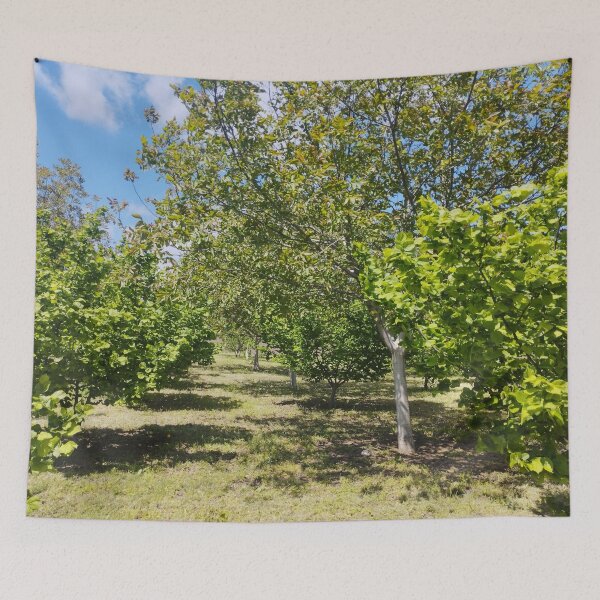 Item preview, Orchard with Hazelnut and Walnut Trees designed and sold by inspiration3.